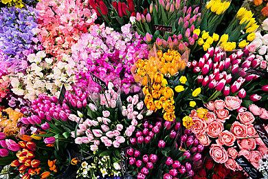 Insomniac开发《日落过载》仅赚了567美元