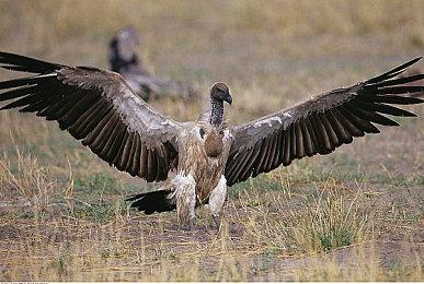 射击游戏《坦克核心》Steam页面上线 年内发售